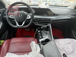 شانجان إيدو بلس